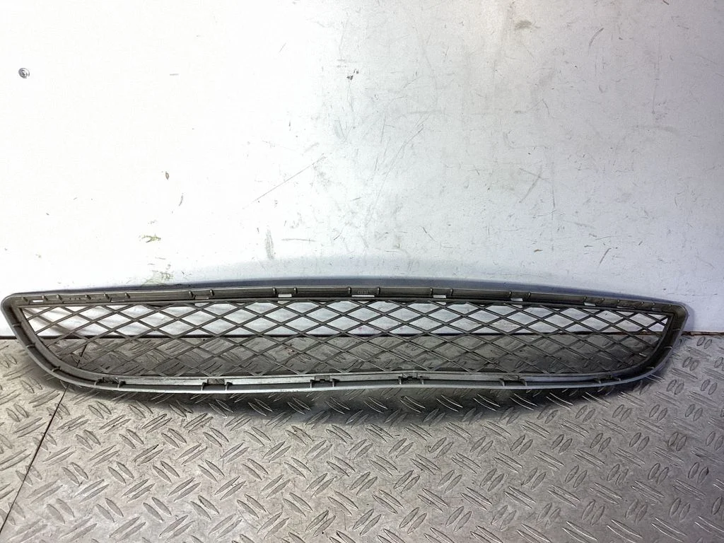 Front bumper lower grill – BMW X6 E71 (2008-2014)