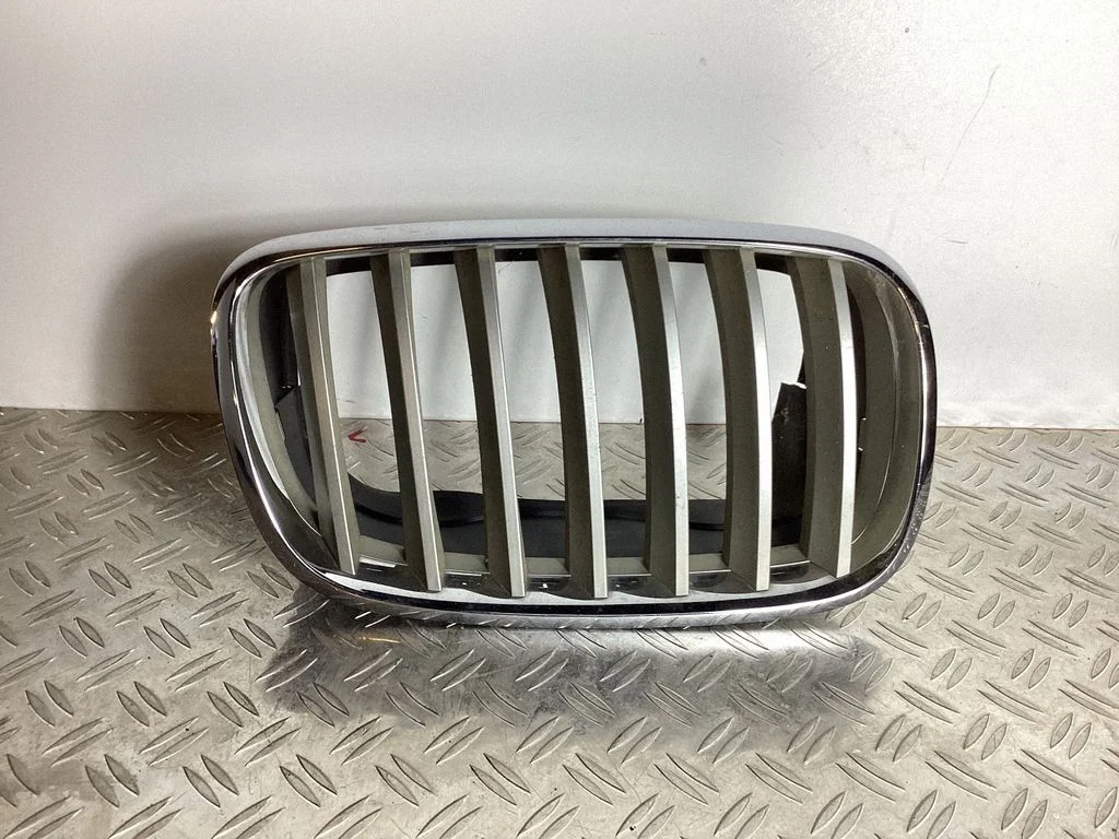 Front bumper lower grill – BMW X5 E70 (2006-2013)
