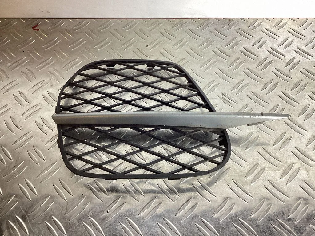 Front bumper lower grill – BMW X5 E70 (2006-2013)