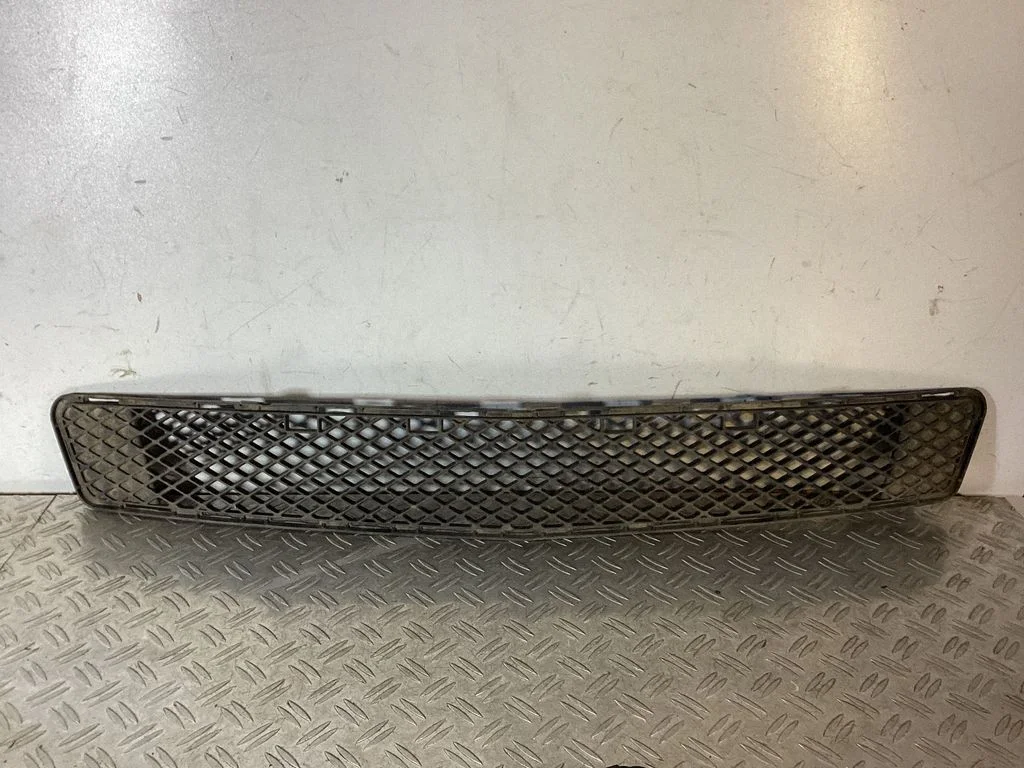 Front bumper lower grill – Mercedes-Benz C-Class AMG W204 (2007-2014)