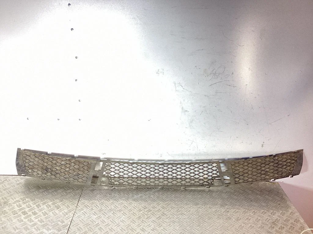 Front bumper upper radiator grill 51113400908