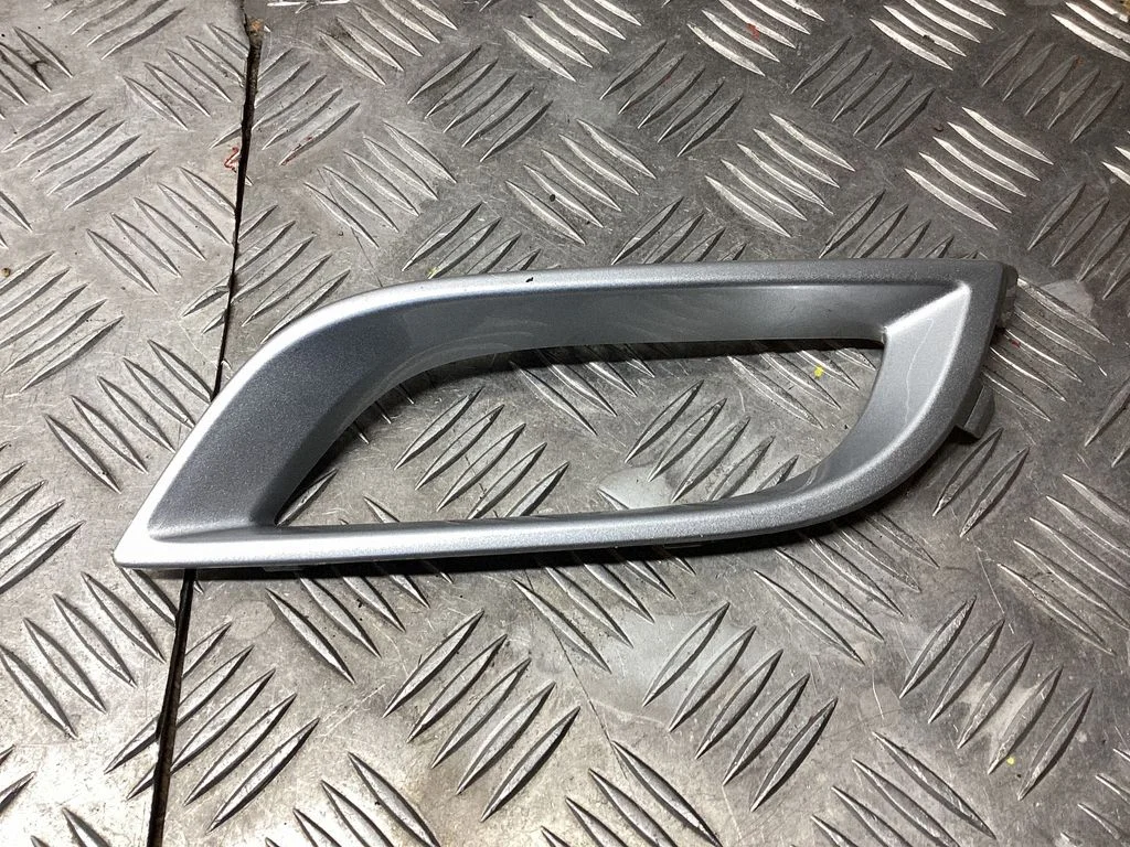 Front fog light trim/grill BBS250C22