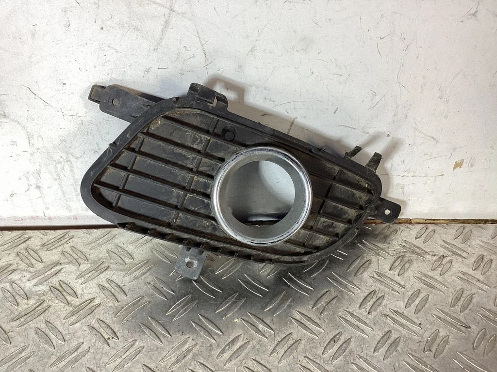 Front fog light trim/grill A1698850722