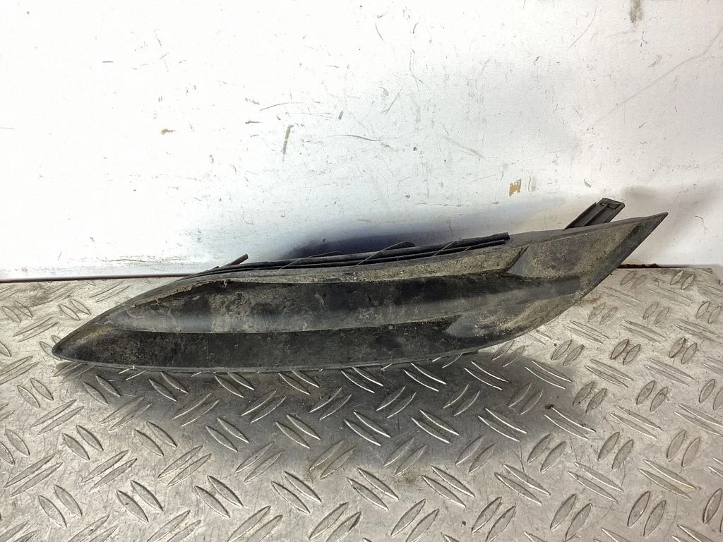 Front fog light trim/grill 8148202030