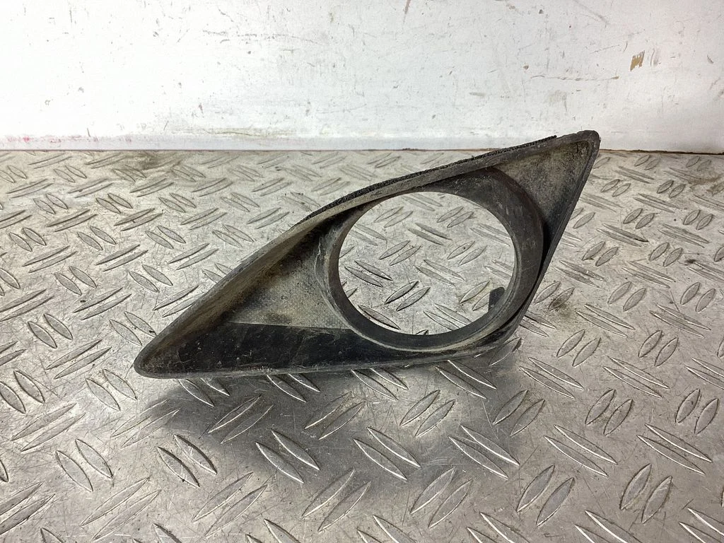 Front fog light trim/grill 8148202060
