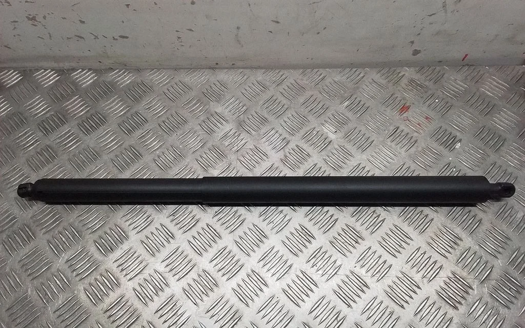 Tailgate/trunk strut/damper 81841CV100
