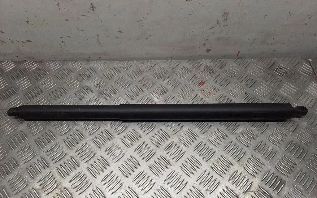 Tailgate/trunk strut/damper 81841CV100
