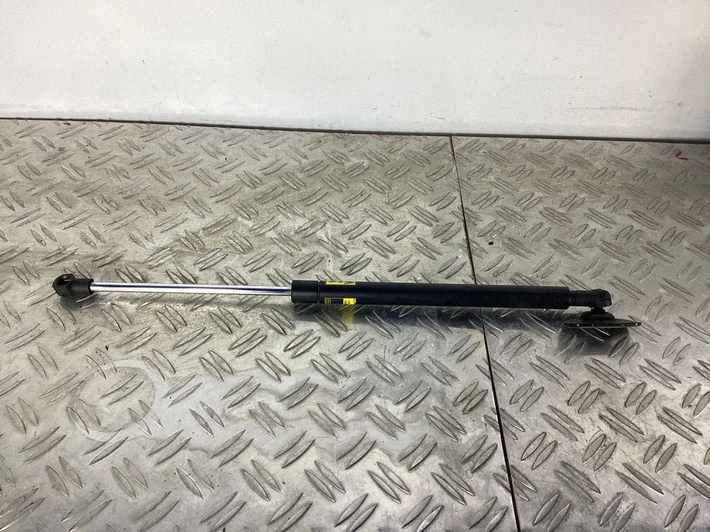 Tailgate/trunk strut/damper