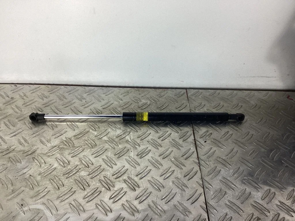Tailgate/trunk strut/damper