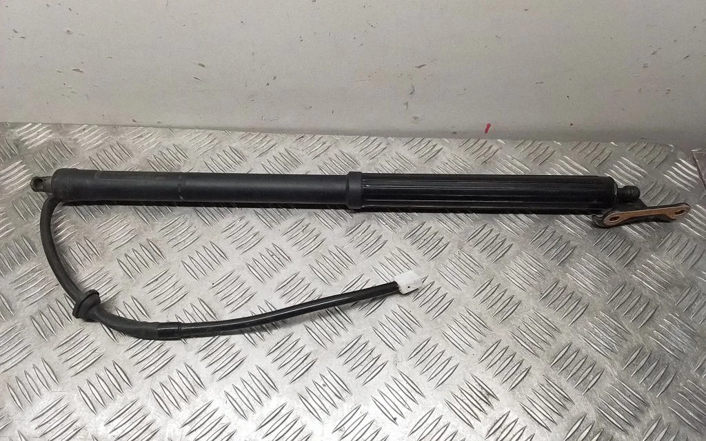Tailgate/trunk strut/damper – Toyota RAV 4 (XA50) (2018-)