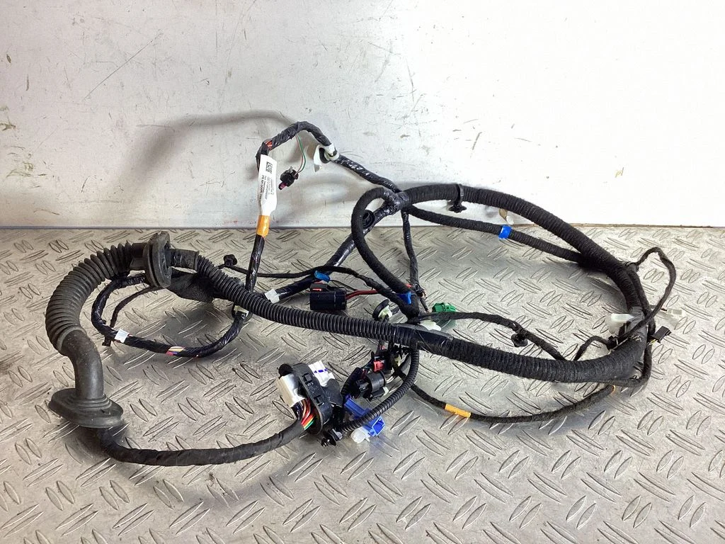 Front door wiring loom 148905200E