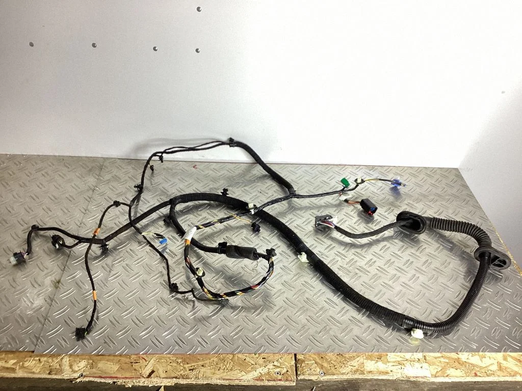 Front door wiring loom 148904400D