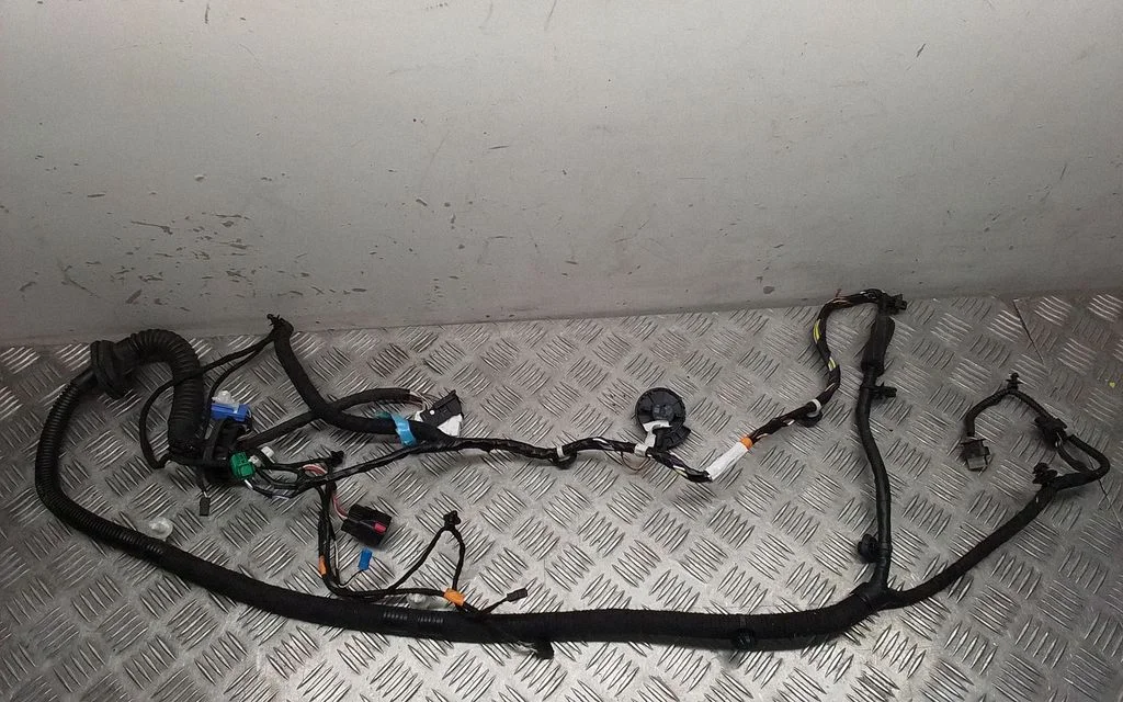 Front door wiring loom 148904400D