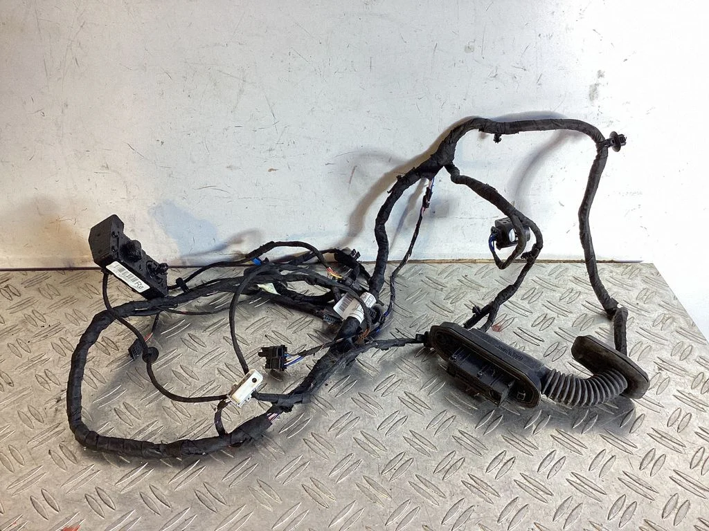 Front door wiring loom 9355615