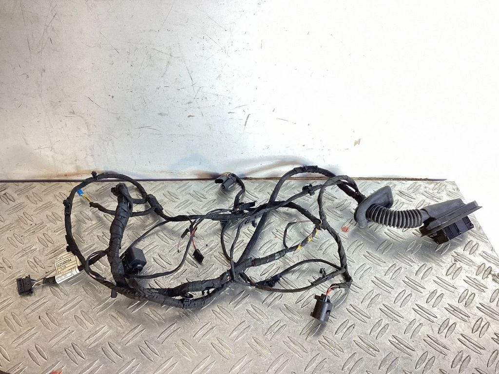 Rear door wiring loom 9355663