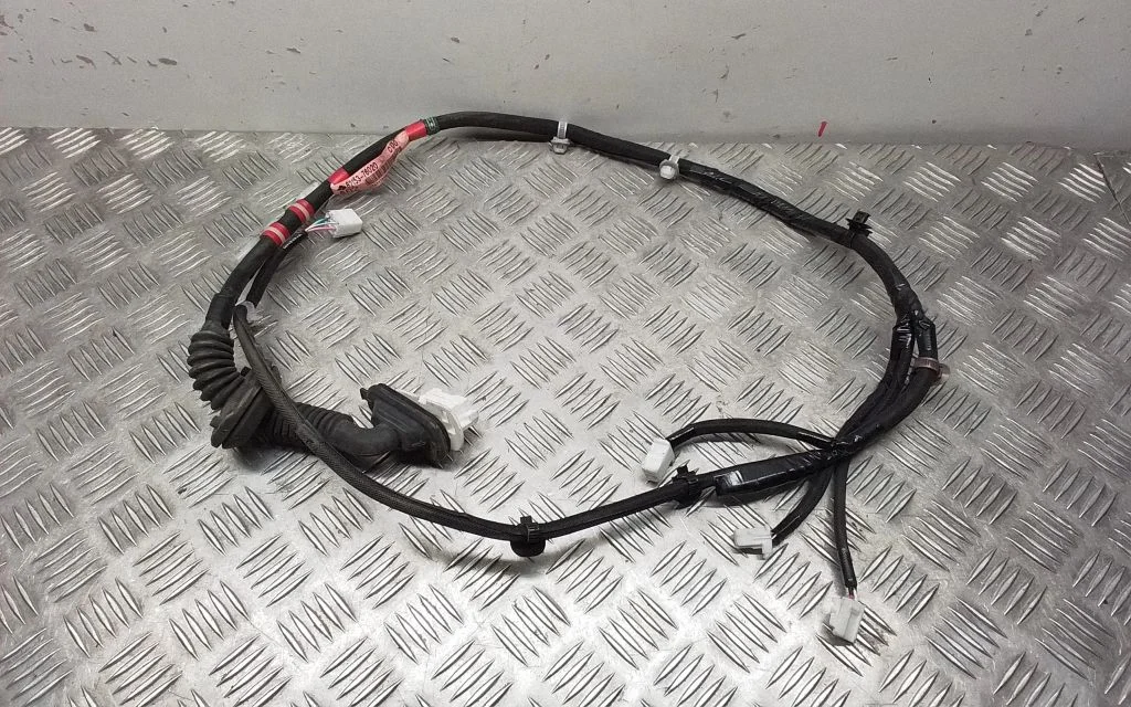 Rear door wiring loom