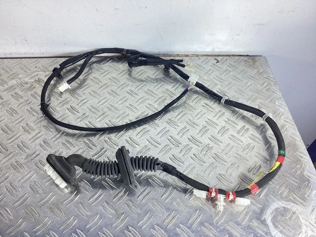Rear door wiring loom