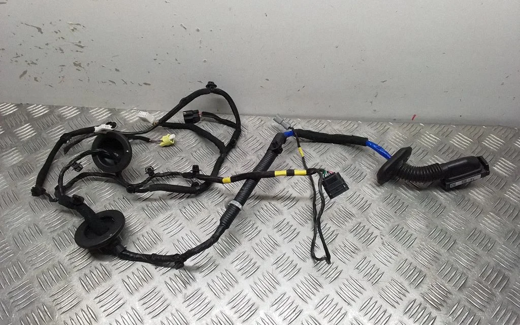 Front door wiring loom