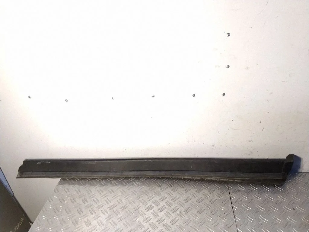 Front door trim (molding) – Lexus RX III (2008-2015)