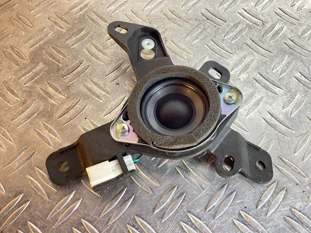 Front door speaker – Lexus RX III (2008-2015)