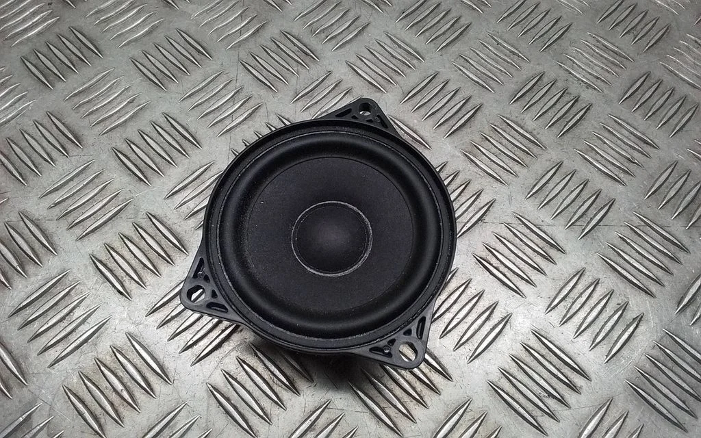 Panel speaker 107974200C