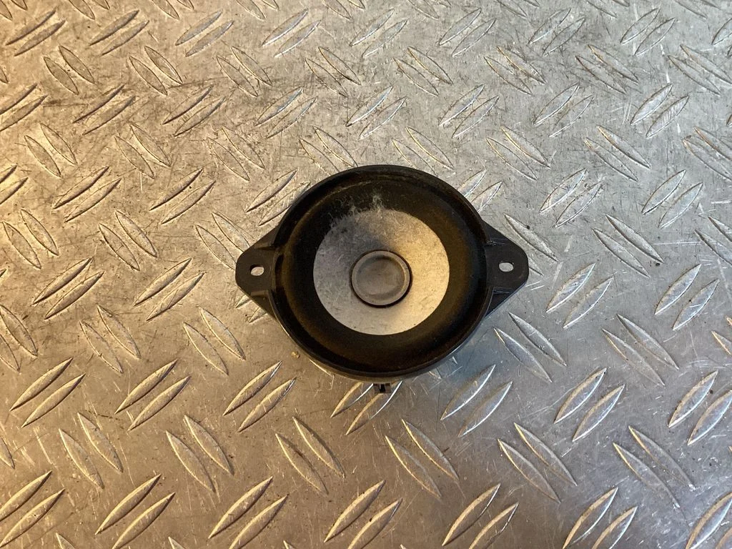 Panel speaker 100483301A