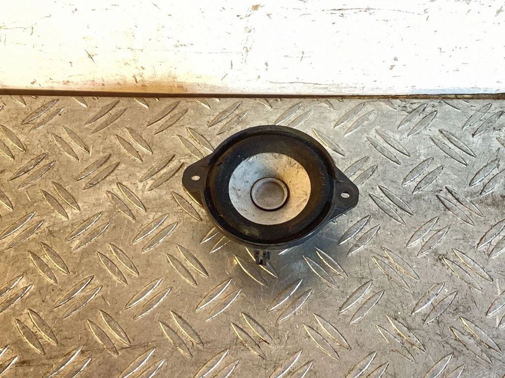 Panel speaker 100483301A