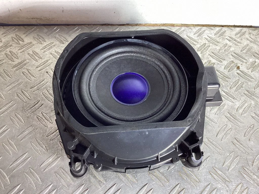 Subwoofer speaker – BMW X5 E70 (2006-2013)
