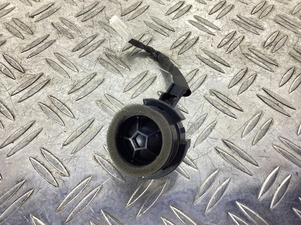 Front door high frequency speaker