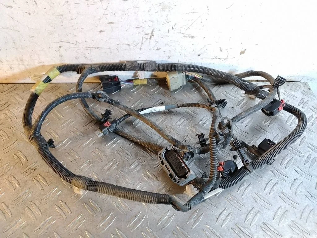 Other wiring loom 248905901A