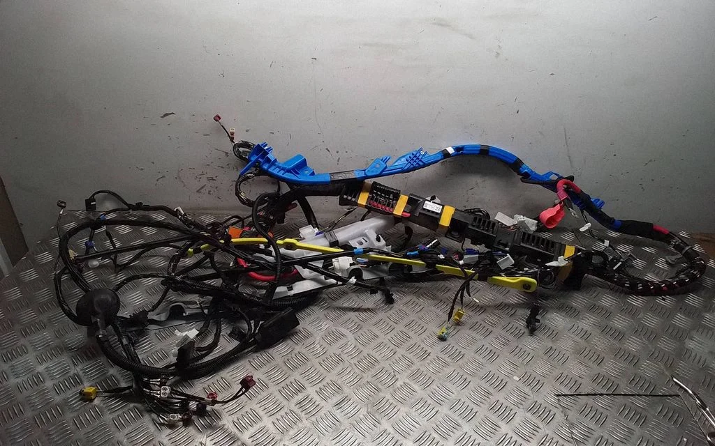 Other wiring loom 248904200C