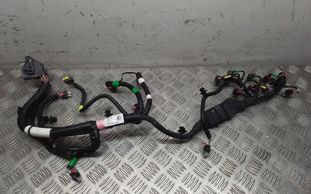 Other wiring loom 206876700C