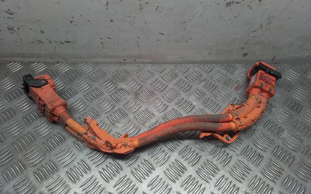 Other wiring loom 110900000E