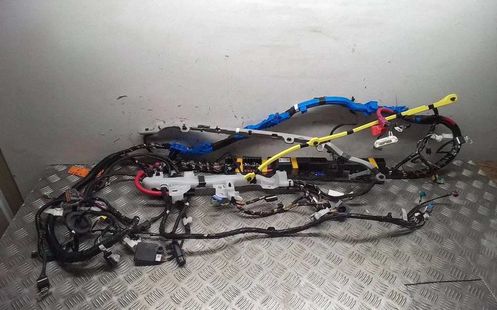 Other wiring loom 2022105
