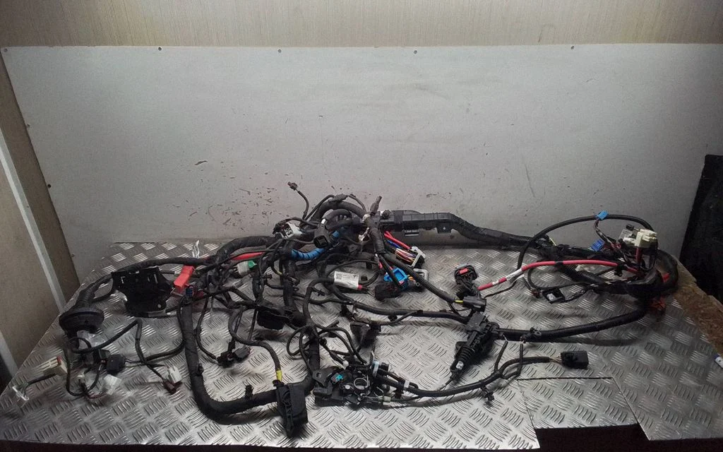 Other wiring loom 248905004C