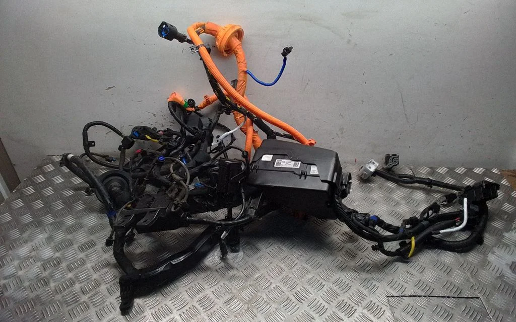 Other wiring loom 91850CV010