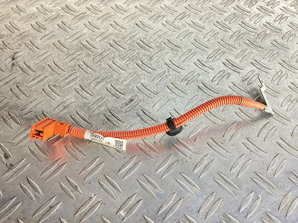 Muud juhtmed / juhtmestik – Lexus NX (2014-2021)