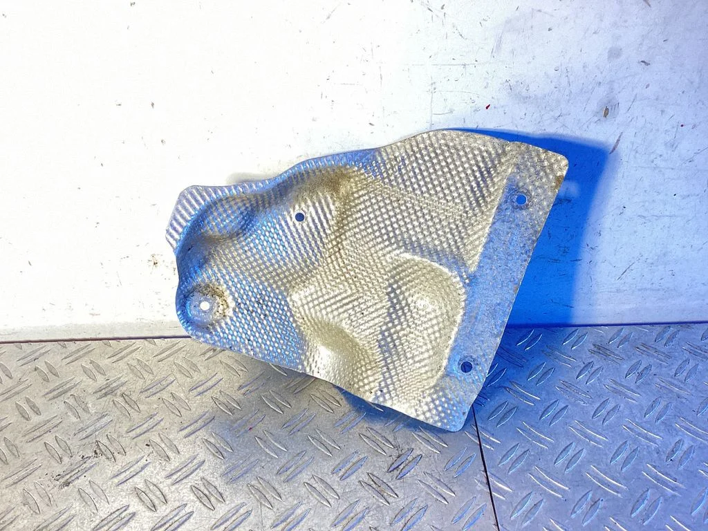 Exhaust heat shield