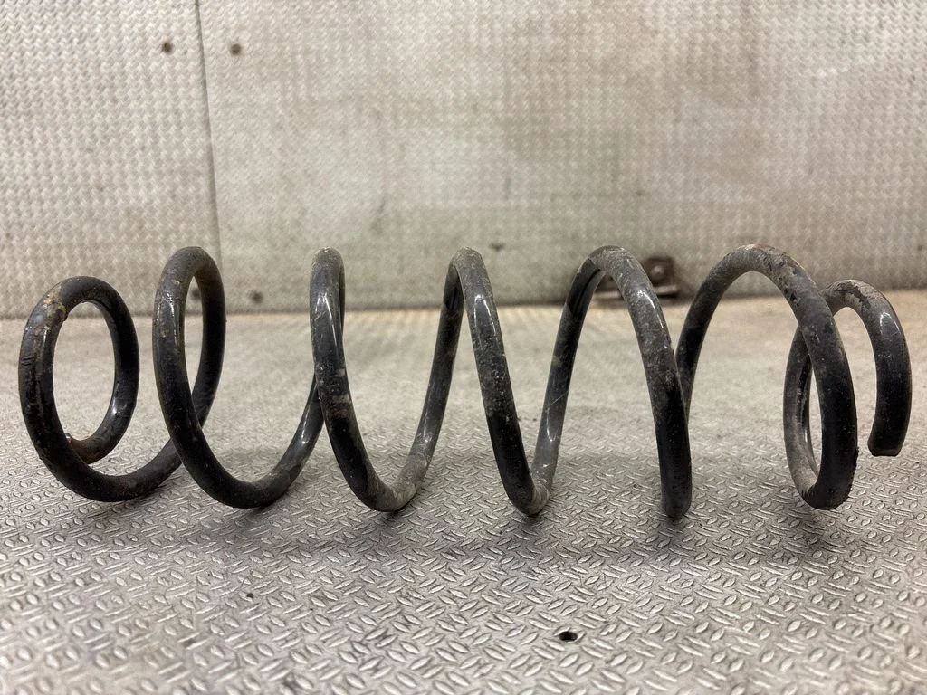 Rear coil spring