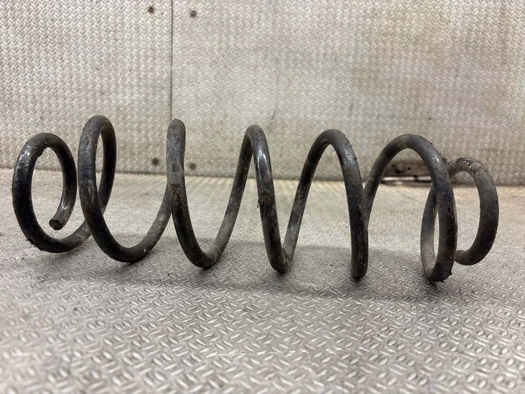 Rear coil spring