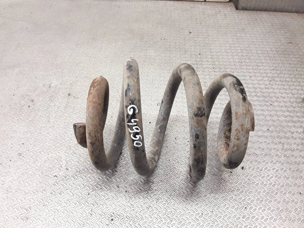 Rear coil spring