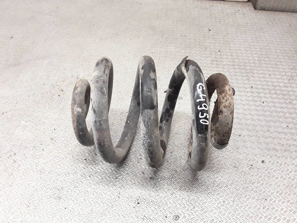 Rear coil spring