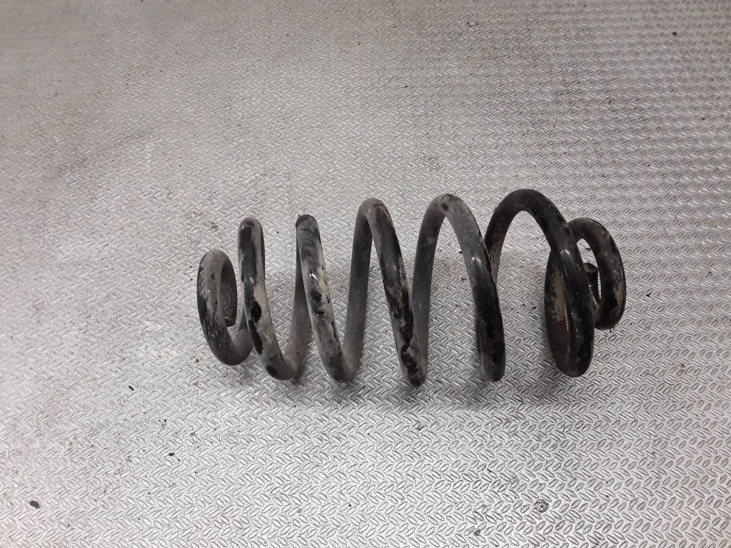 Rear coil spring