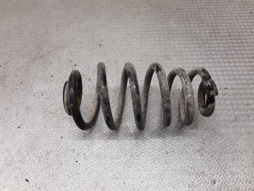 Rear coil spring