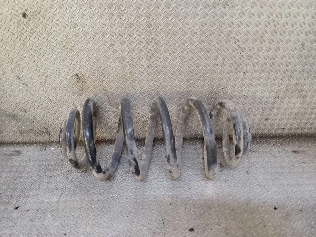 Rear coil spring