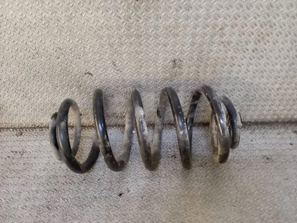 Rear coil spring