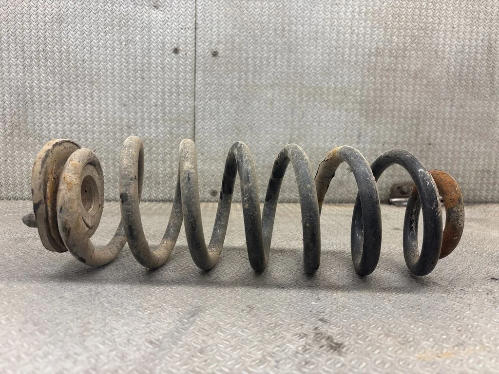Rear coil spring