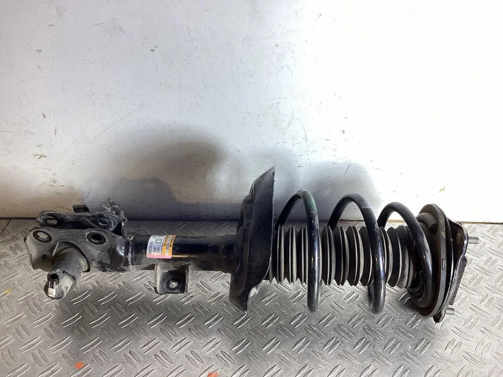 Front shock absorber with coil spring – Lexus NX (2021-)