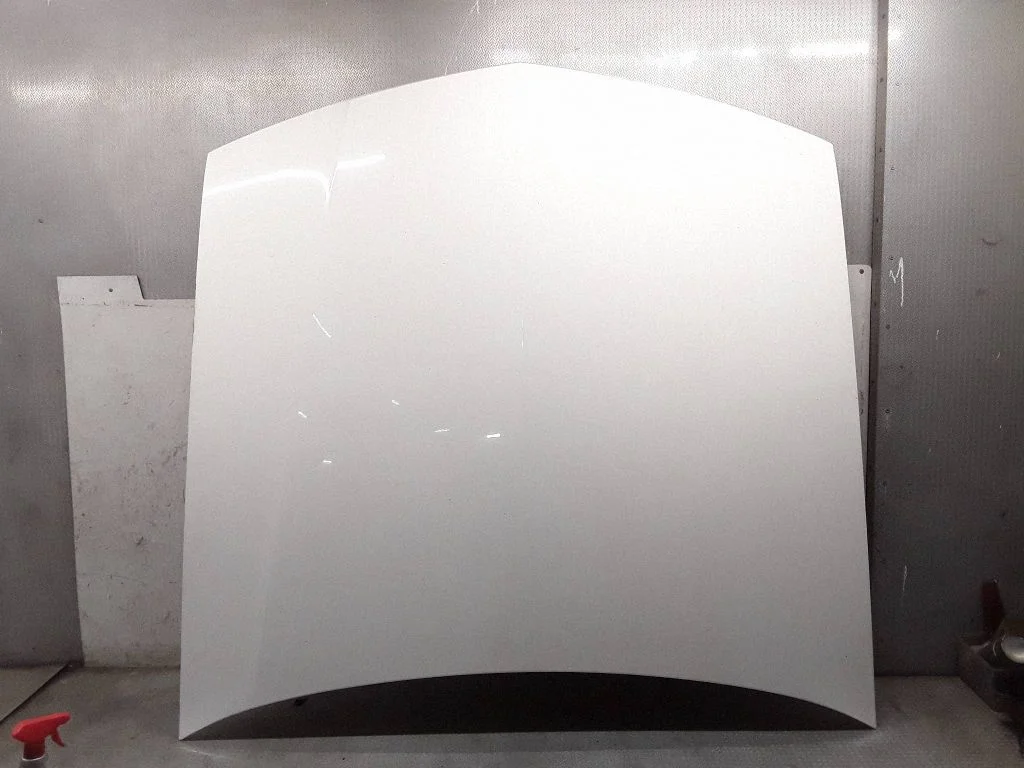 Engine bonnet/hood