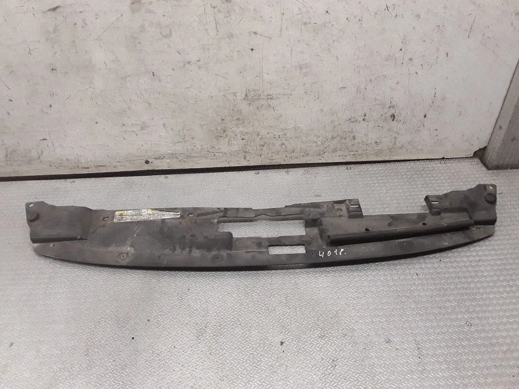 Engine bonnet/hood lock trim molding